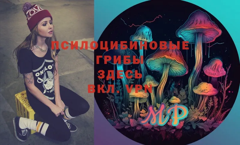 Галлюциногенные грибы Psilocybe  Кологрив 